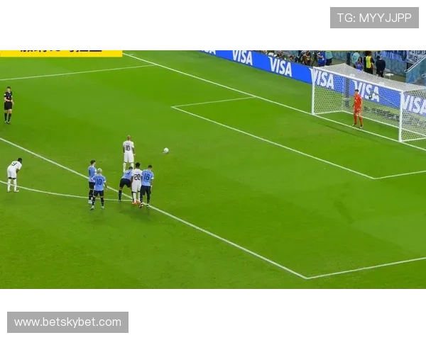 乌拉圭队世界杯表现