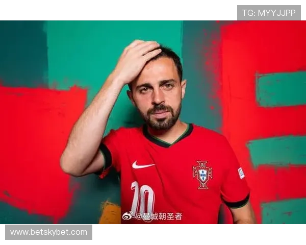 贝尔纳多葡萄牙核心