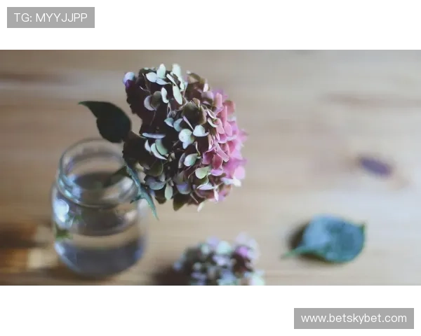 巴尔科拉是否昙花一现？持续表现力与成长潜力分析