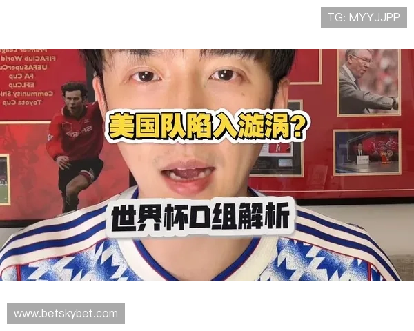 世界杯美国队D组阵容深度分析